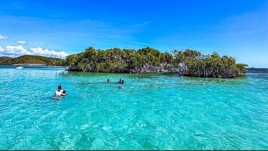 Gatas, Puerto Rico